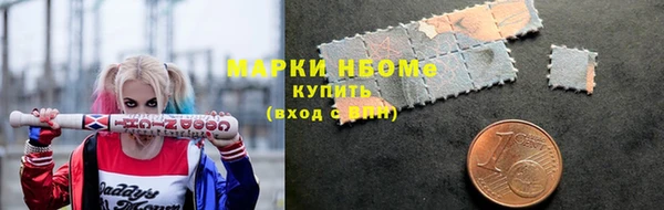 шишки Снежинск