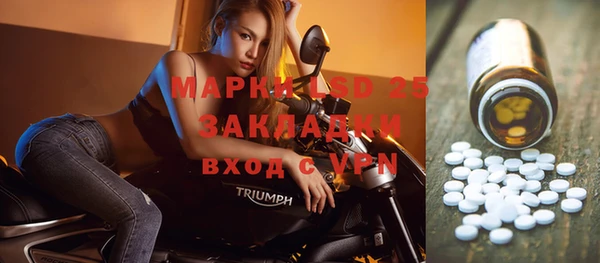 эйфоретик Беломорск