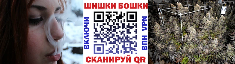 Бошки Шишки SATIVA & INDICA omg маркетплейс Заречный купить цена